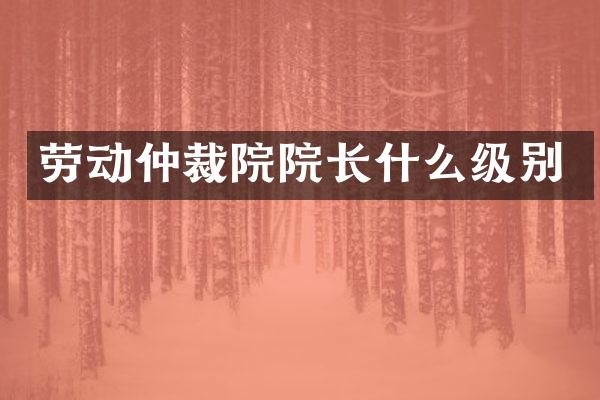 劳动仲裁院院长什么级别