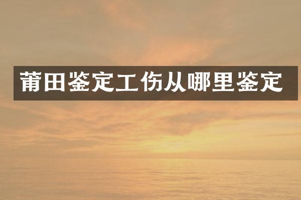 莆田鉴定工伤从哪里鉴定