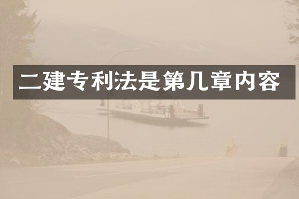 二建专利法是第几章内容