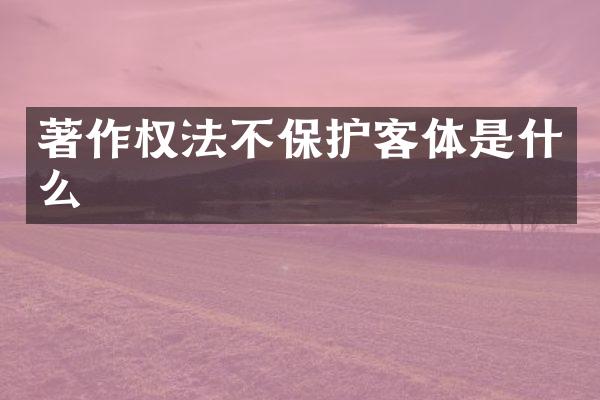 著作权法不保护客体是什么