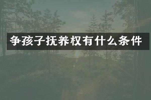 争孩子抚养权有什么条件