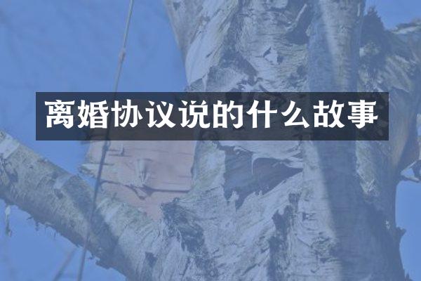 离婚协议说的什么故事