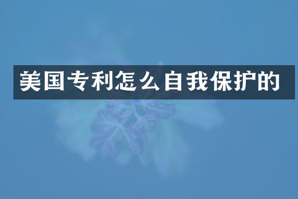 美国专利怎么自我保护的