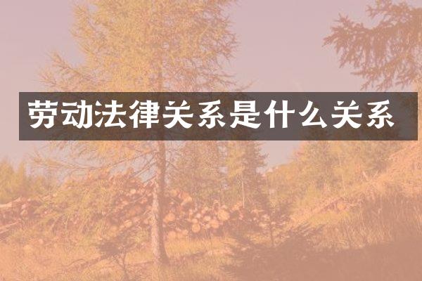 劳动法律关系是什么关系