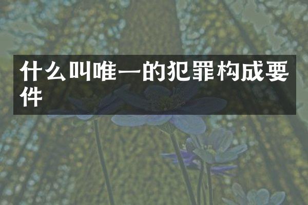 什么叫唯一的犯罪构成要件