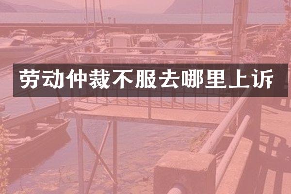 劳动仲裁不服去哪里上诉