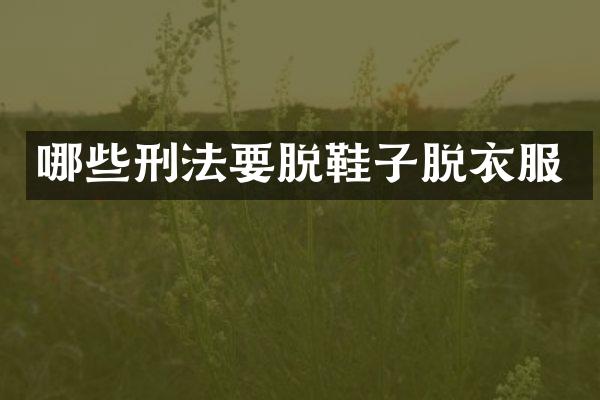 哪些刑法要脱鞋子脱衣服