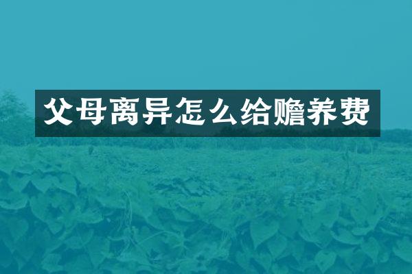 父母离异怎么给赡养费