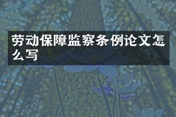 劳动保障监察条例论文怎么写