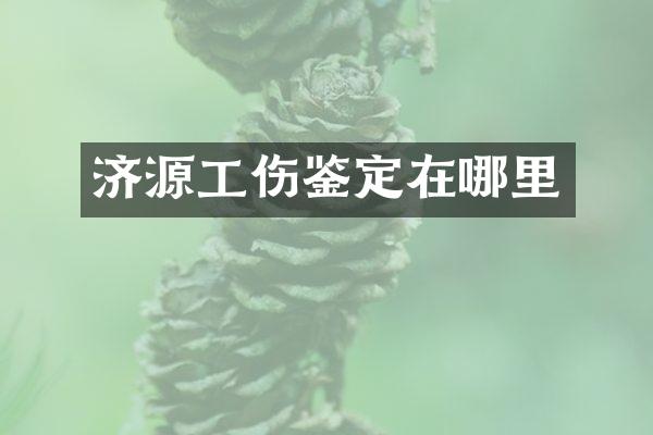 济源工伤鉴定在哪里