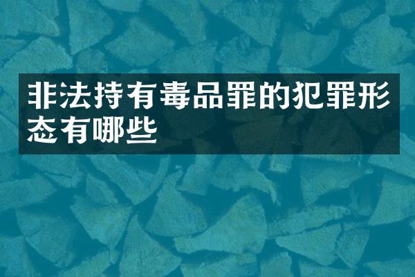 非法持有罪的犯罪形态有哪些