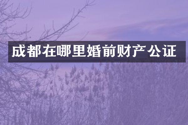 成都在哪里婚前财产公证