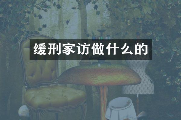 缓刑家访做什么的