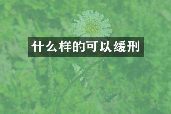什么样的可以缓刑