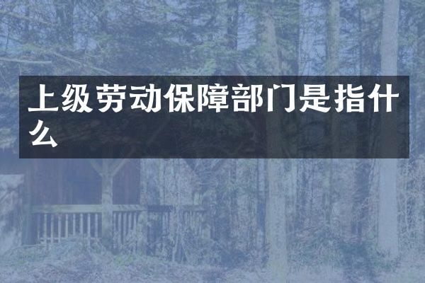 上级劳动保障部门是指什么
