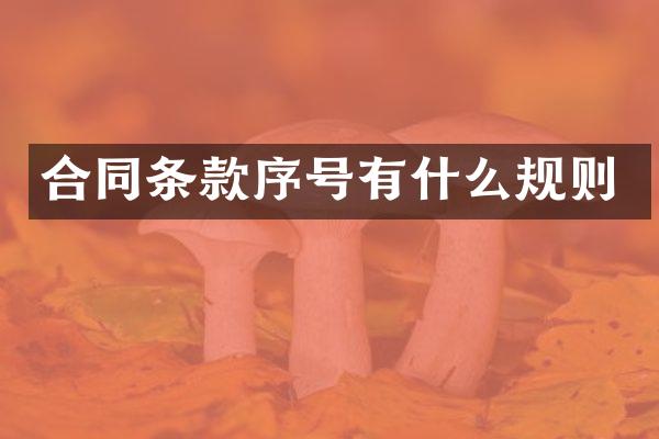 合同条款序号有什么规则