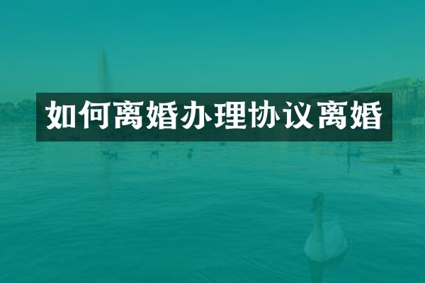 如何离婚办理协议离婚
