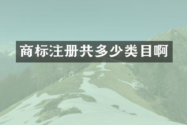 商标注册共多少类目啊