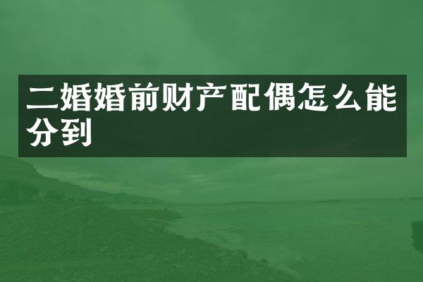 二婚婚前财产配偶怎么能分到