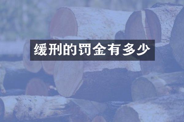 缓刑的罚金有多少