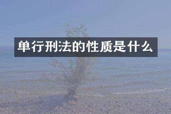 单行刑法的性质是什么