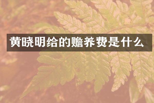 黄晓明给的赡养费是什么
