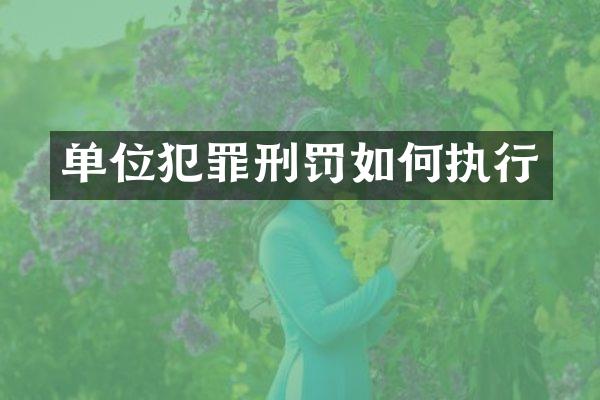 单位犯罪刑罚如何执行