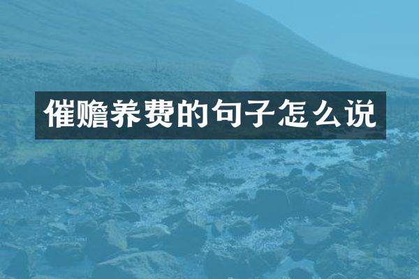 催赡养费的句子怎么说