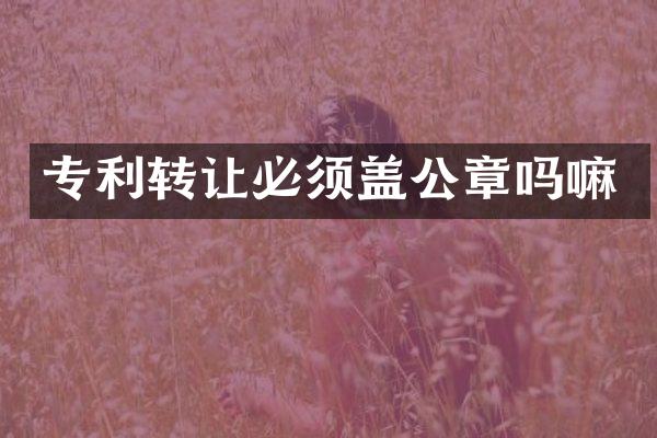 专利转让必须盖公章吗嘛
