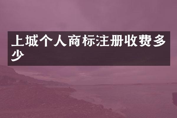 上城个人商标注册收费多少