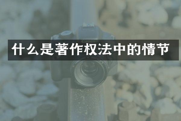 什么是著作权法中的情节