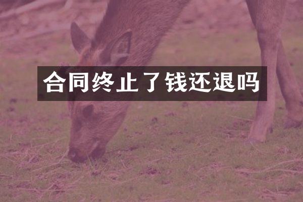 合同终止了钱还退吗
