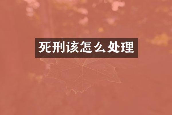 死刑该怎么处理