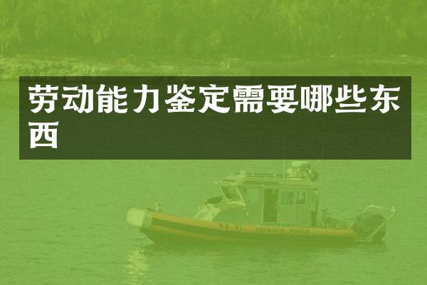 劳动能力鉴定需要哪些东西