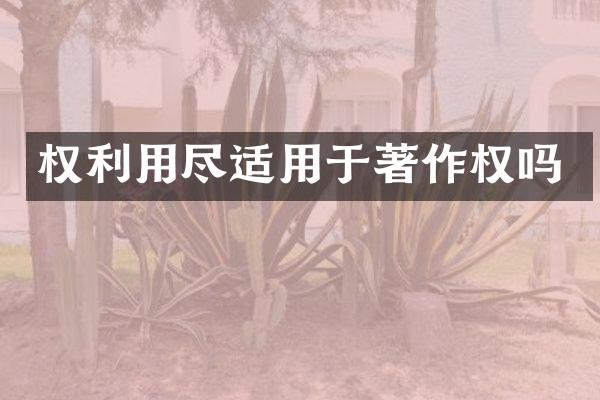 权利用尽适用于著作权吗
