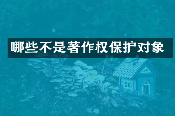 哪些不是著作权保护对象