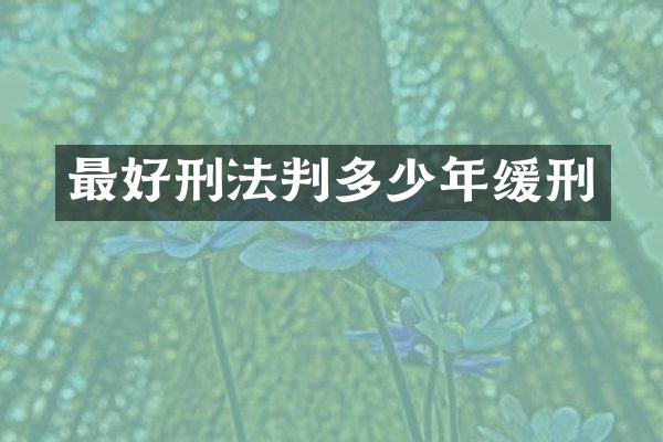 最好刑法判多少年缓刑