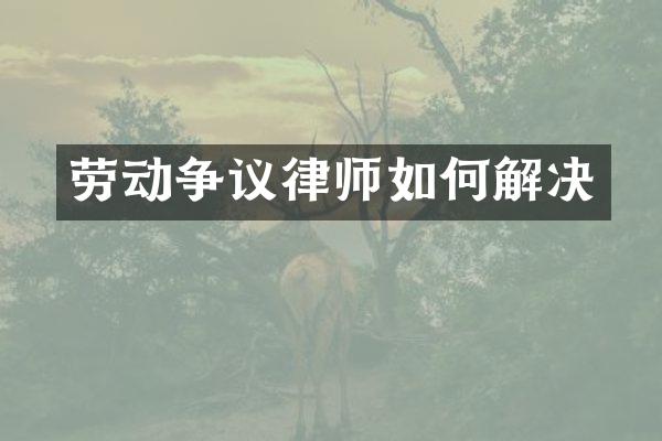 劳动争议律师如何解决