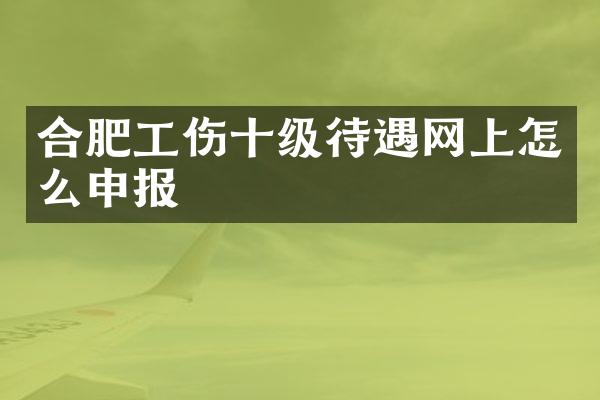 合肥工伤十级待遇网上怎么申报