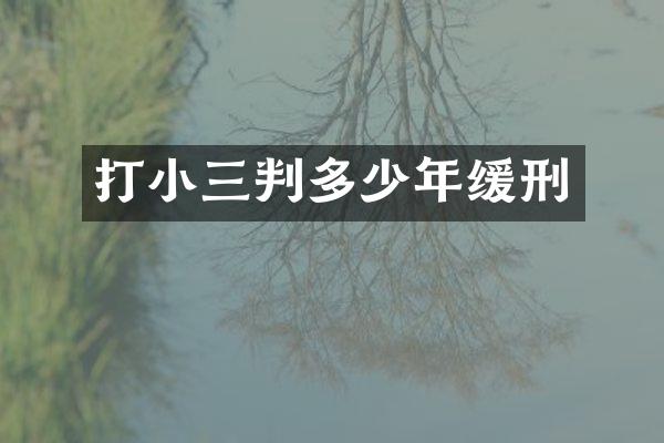 打判多少年缓刑