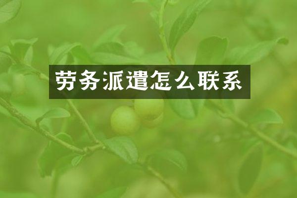 劳务派遣怎么联系