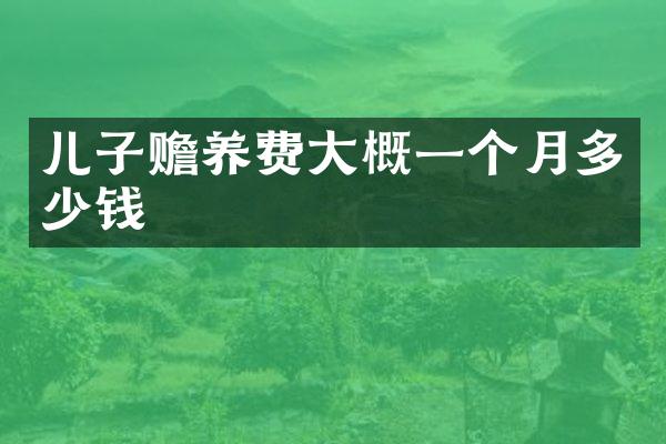 儿子赡养费大概一个月多少钱