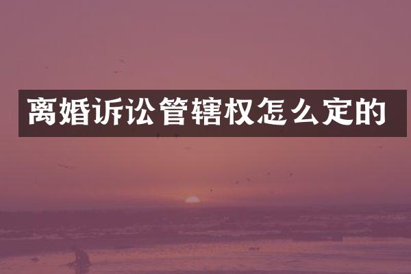 离婚诉讼管辖权怎么定的