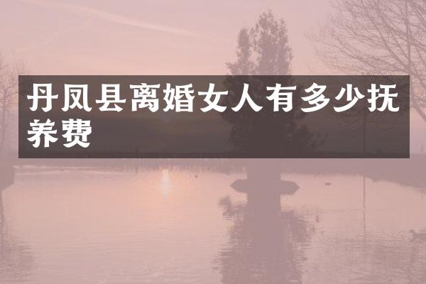 丹凤县离婚女人有多少抚养费