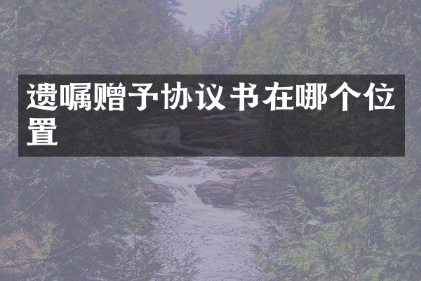 遗嘱赠予协议书在哪个位置