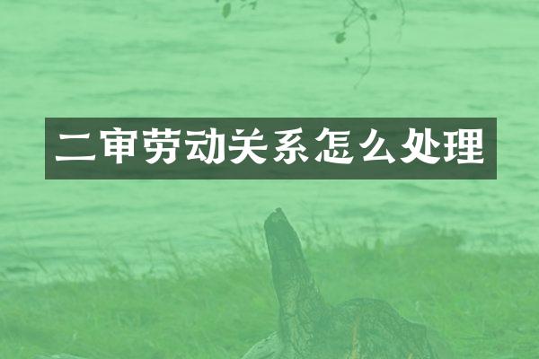 二审劳动关系怎么处理