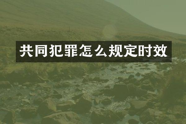 共同犯罪怎么规定时效