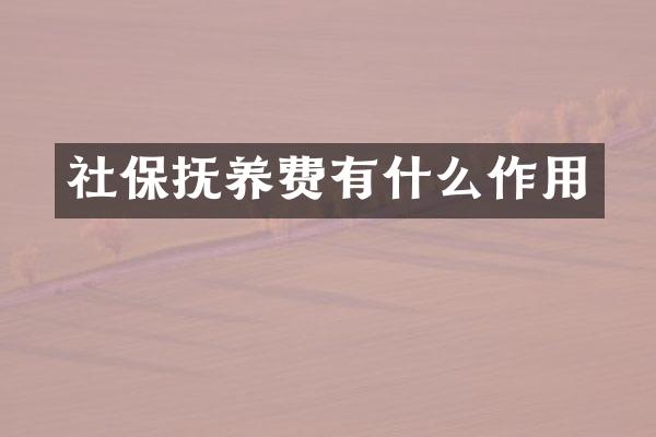 社保抚养费有什么作用