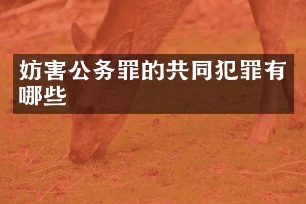 妨害公务罪的共同犯罪有哪些