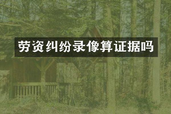 劳资纠纷录像算证据吗
